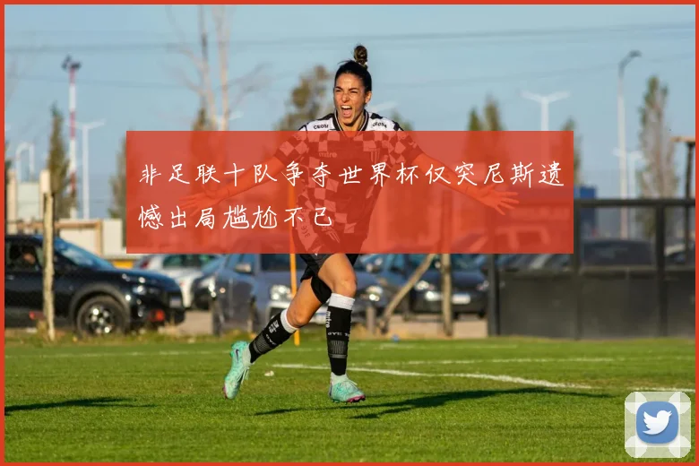 非足联十队争夺世界杯仅突尼斯遗憾出局尴尬不已