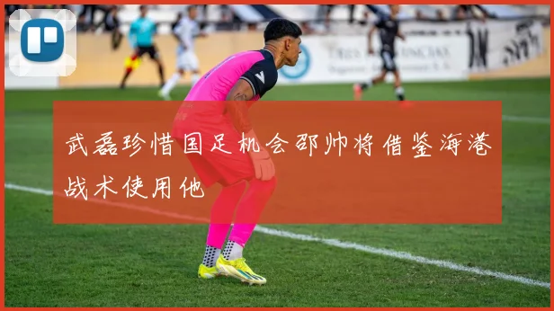 武磊珍惜国足机会邵帅将借鉴海港战术使用他