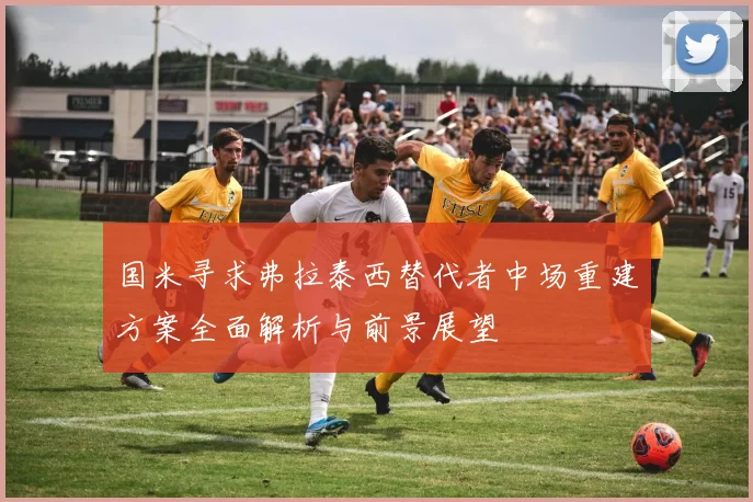 国米寻求弗拉泰西替代者中场重建方案全面解析与前景展望